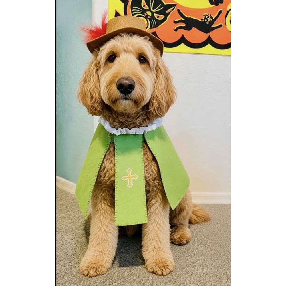 Handmade Dog/Pet Musketeer 3 Musketeers Crusader Costume Size M